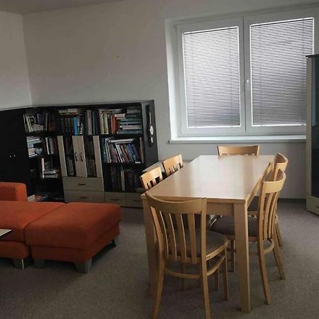 Family Apartment With Garden And Parking Spot Ceske Budejovice Bagian luar foto