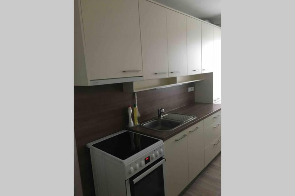 Family Apartment With Garden And Parking Spot Ceske Budejovice Bagian luar foto