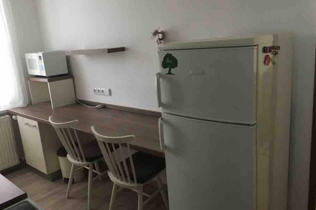 Family Apartment With Garden And Parking Spot Ceske Budejovice Bagian luar foto