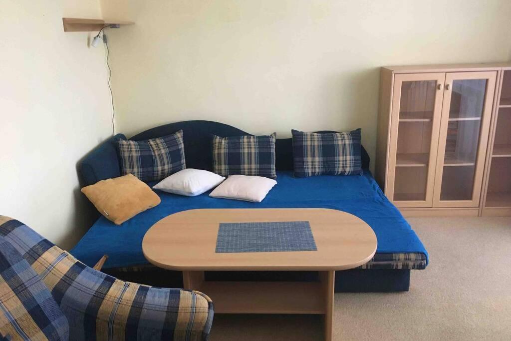 Family Apartment With Garden And Parking Spot Ceske Budejovice Bagian luar foto